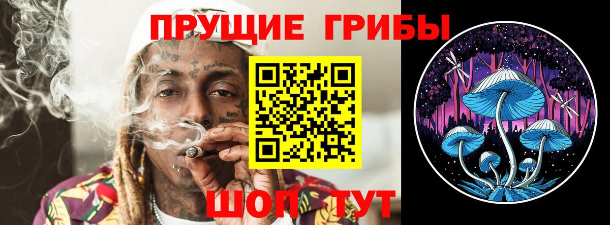 Псилоцибиновые грибы GOLDEN TEACHER Красноуфимск